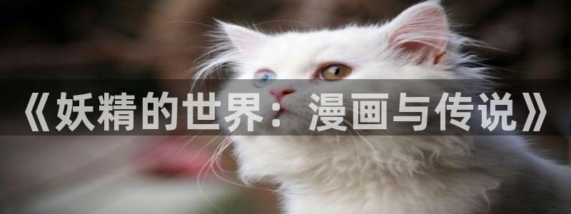 漫小肆韩漫：《妖精的世界：漫画与传说》